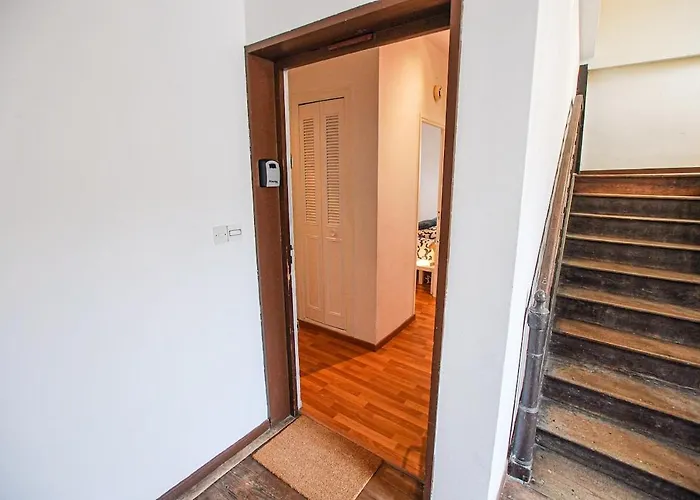 公寓 T2 Lumineux Au Coeur De St Palais Saint-Palais (Pyrenees-Atlantiques)